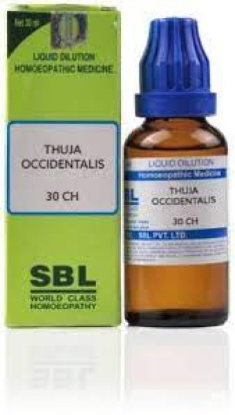 Thuja Occidentalis